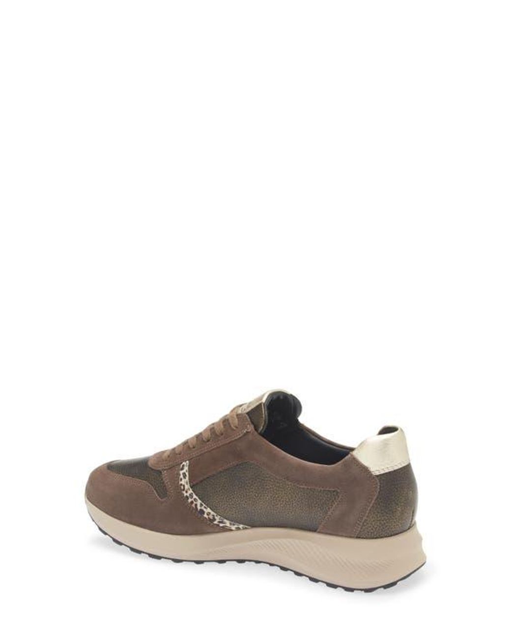 Mephisto Brown Kim Sneaker