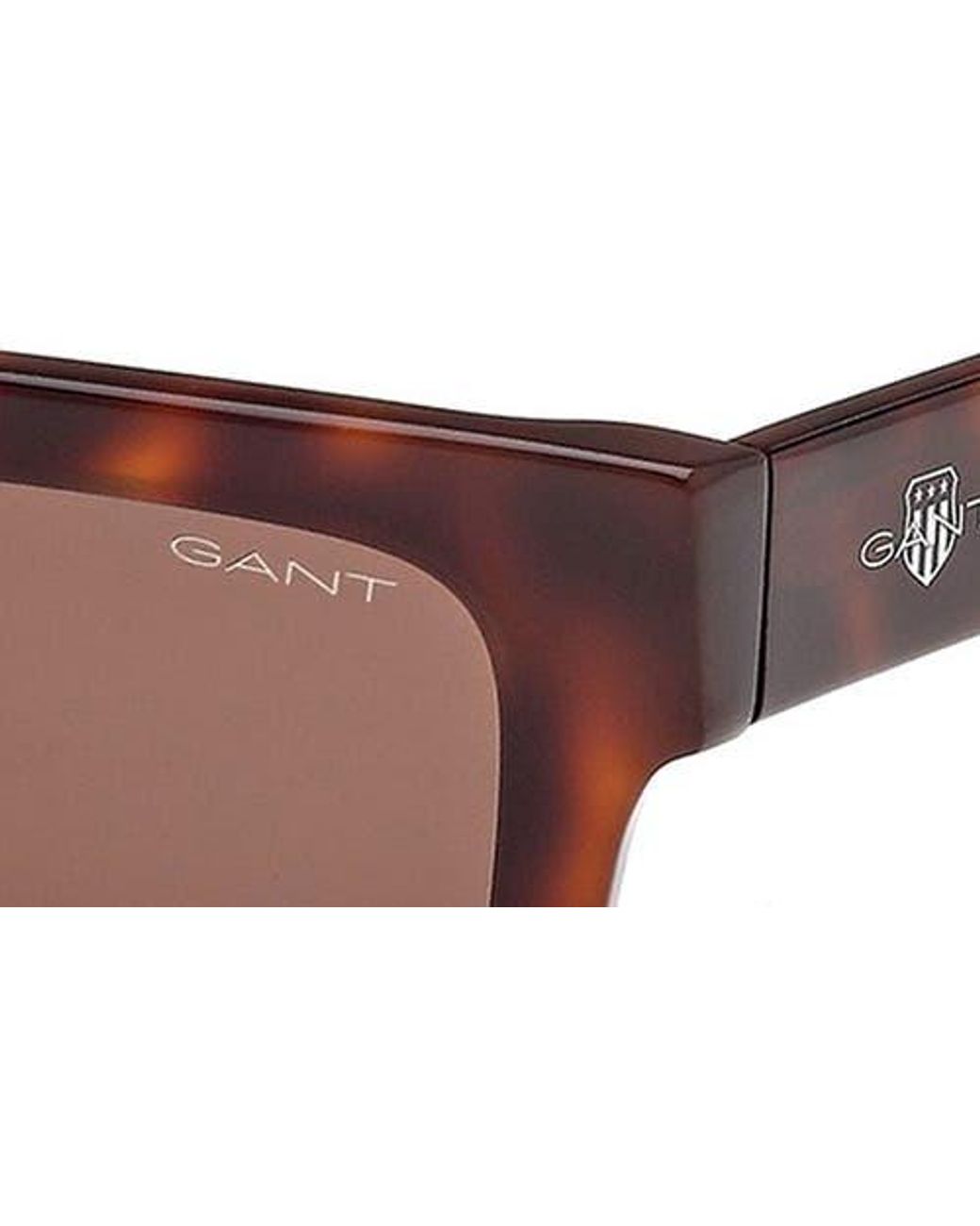 Gant Brown Rectangular Sunglasses for men