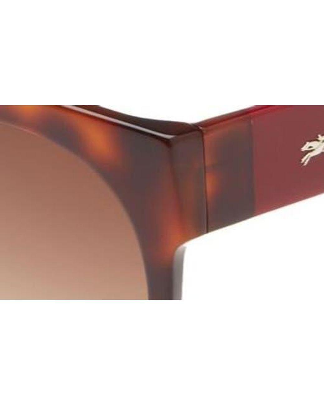 Longchamp Brown Gradient Round Sunglasses