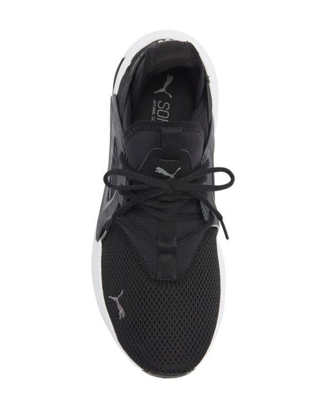 PUMA Black Softride Enzo Evo Hyperwave Sneaker for men