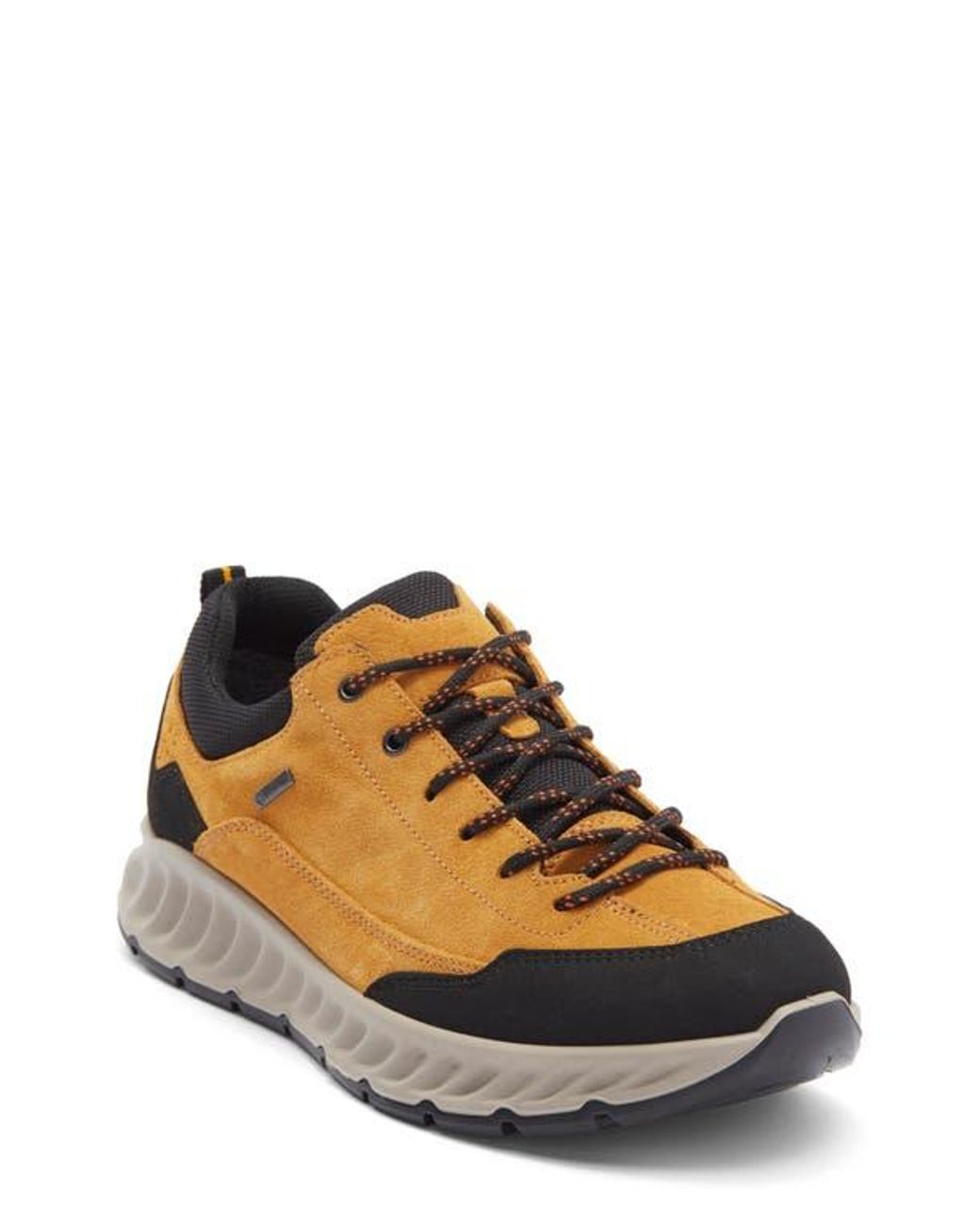 Ara Multicolor Petro Waterproof Sneaker for men