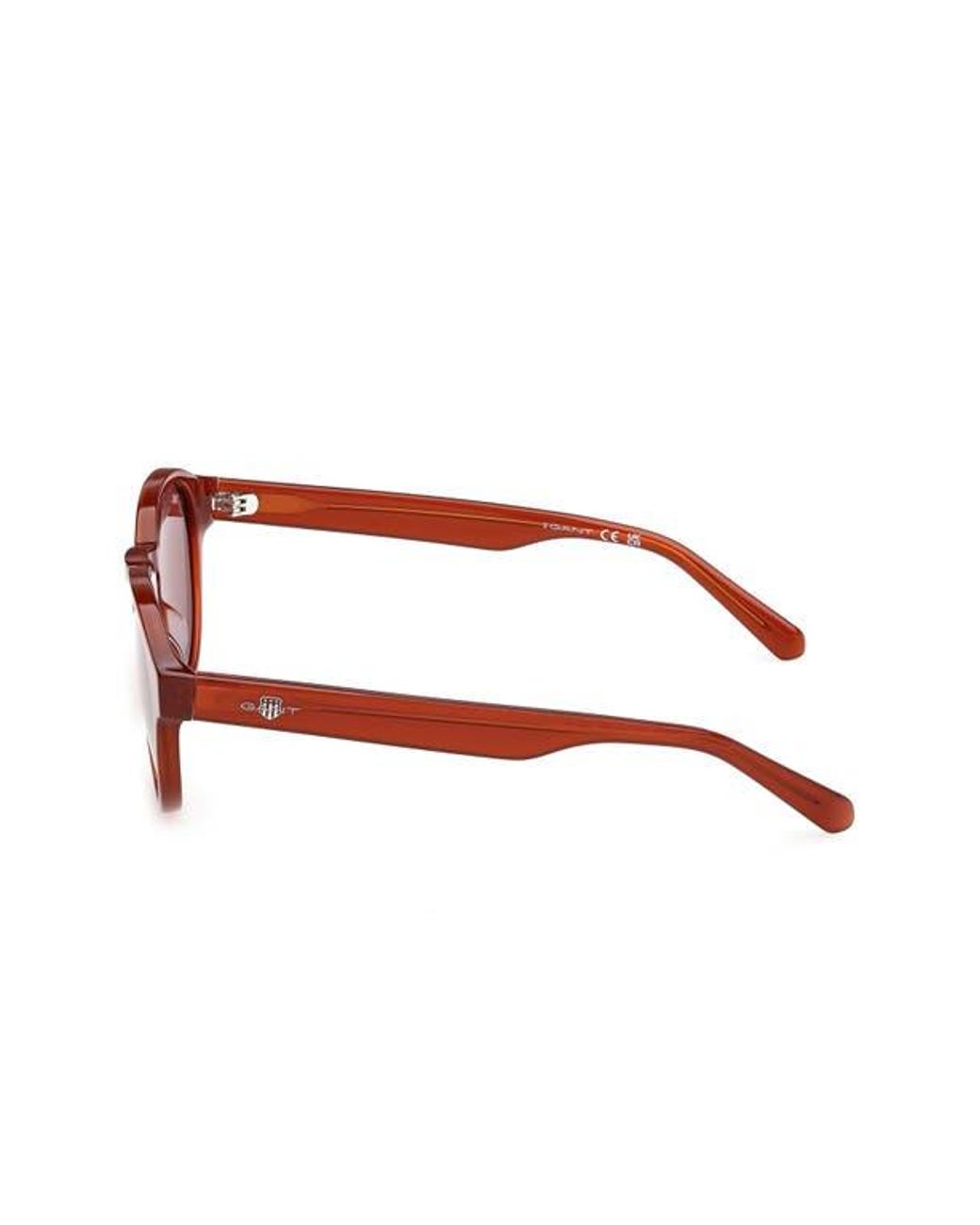 Gant Brown Round Sunglasses for men