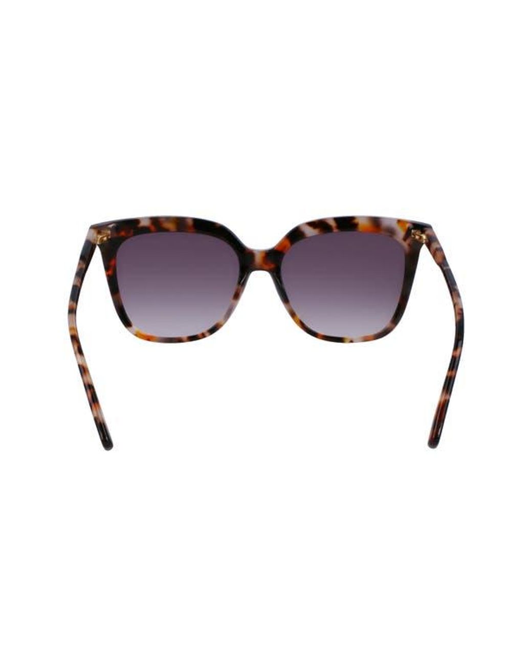 Longchamp Brown 53Mm Rectangular Sunglasses