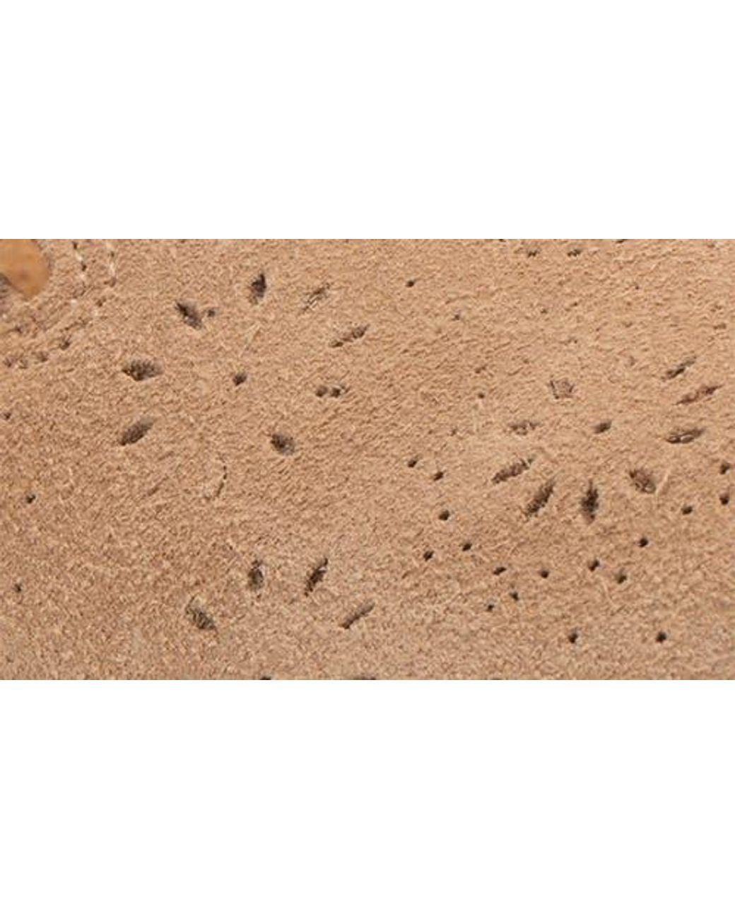 Revitalign Natural Siesta Eclipse Clog