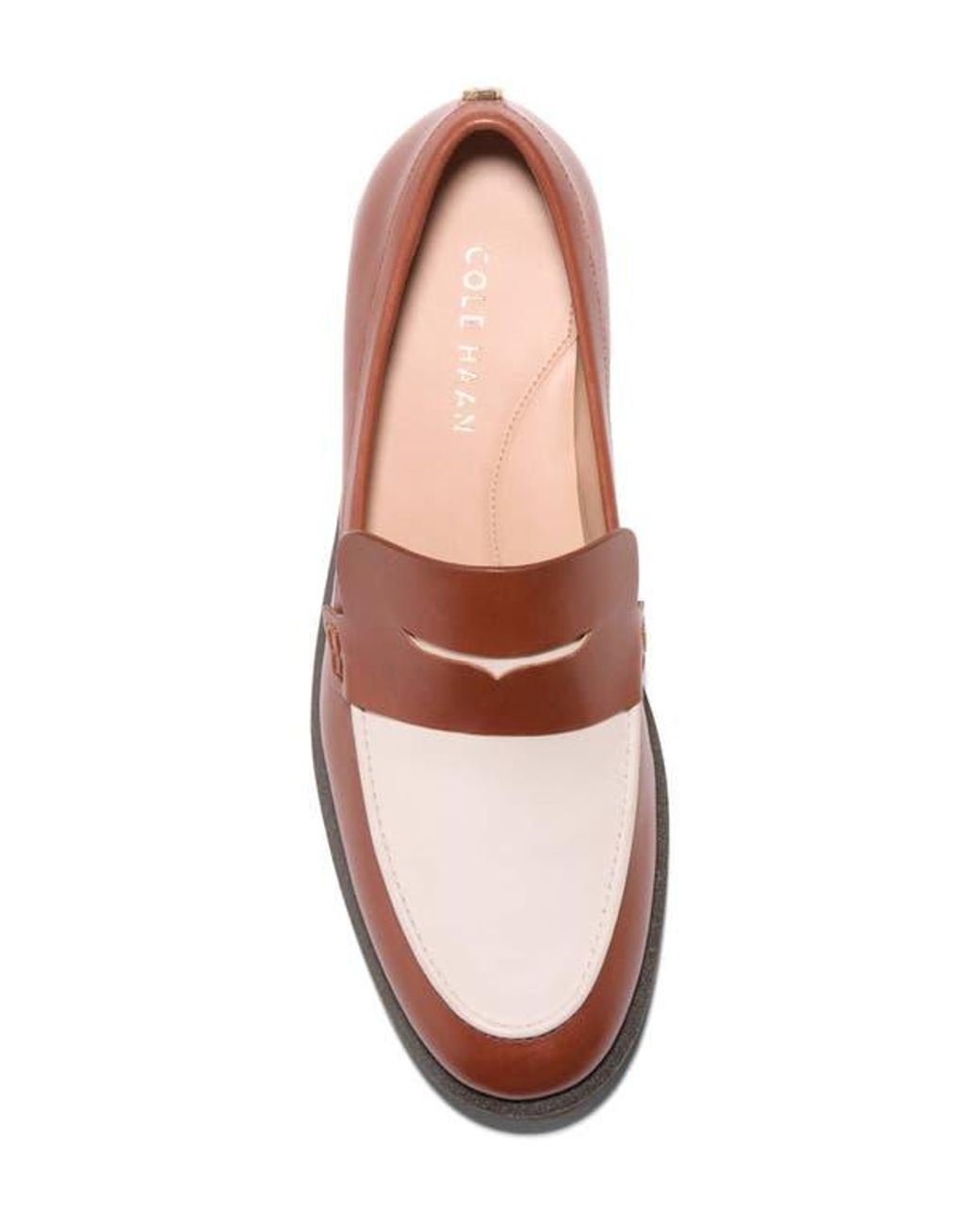 Cole Haan Gwendolyn Penny Loafer in Brown | Lyst display picture 1