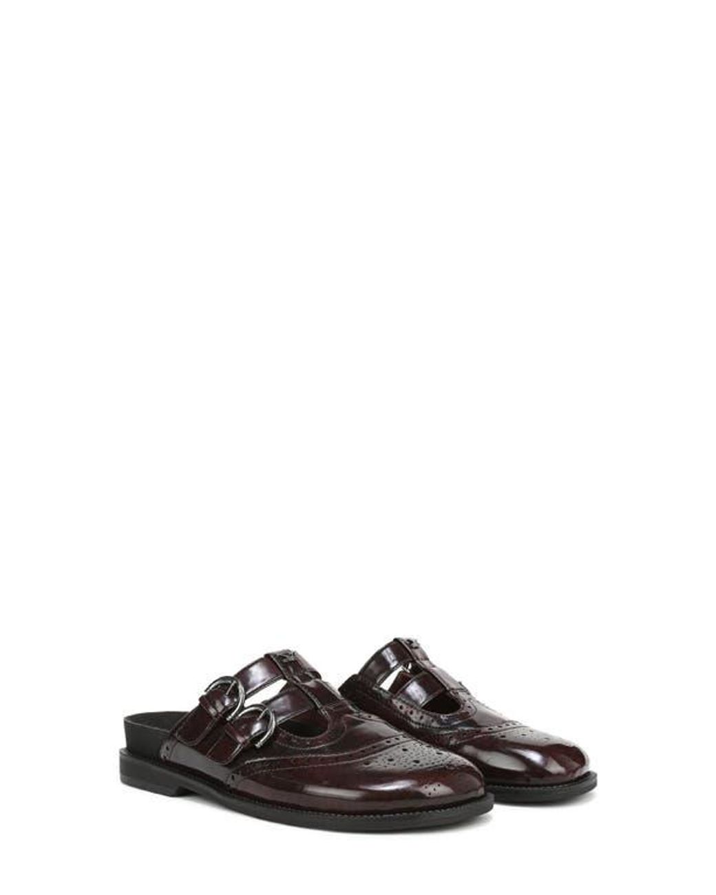 Circus by Sam Edelman Brown Claudia Mule