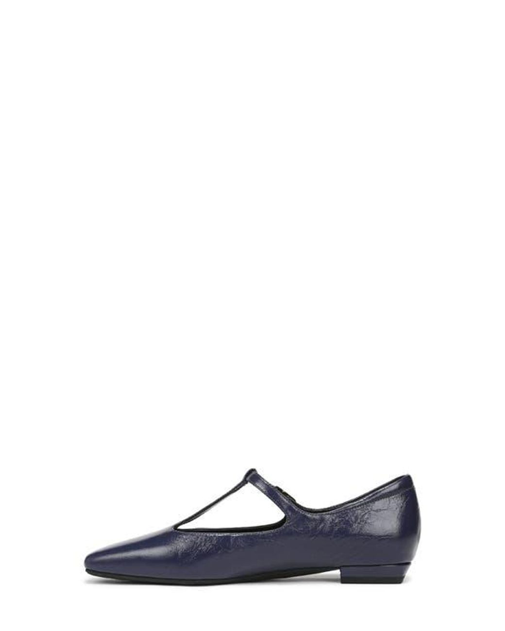 27 EDIT Naturalizer Blue Bella T-Strap Flat