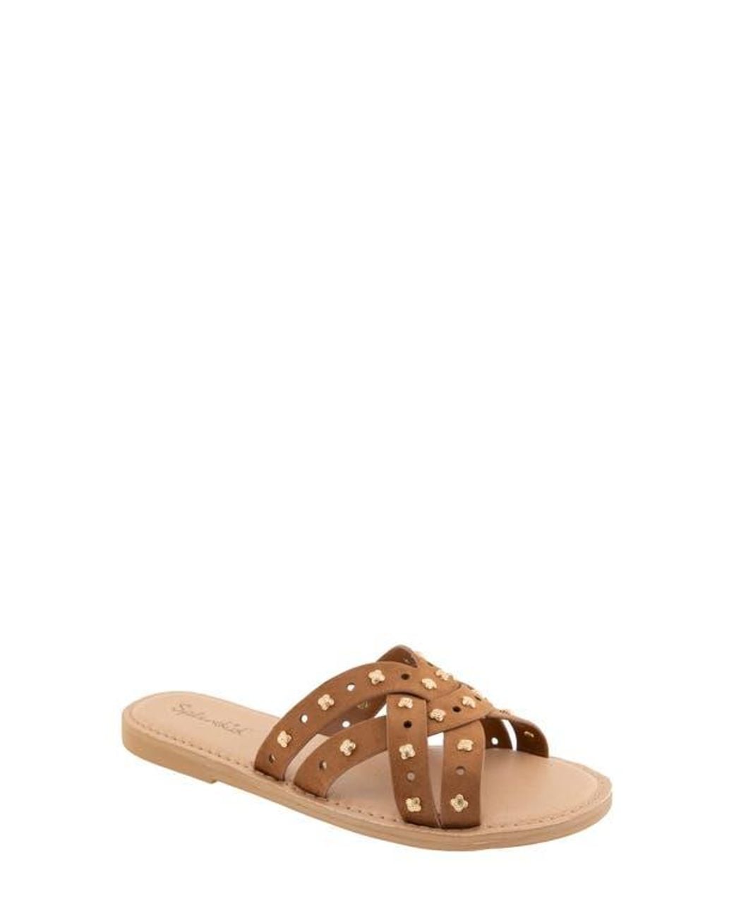 Splendid Brown Simon Studded Slide Sandal