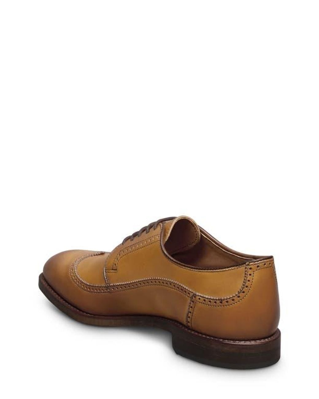 Allen Edmonds Brown Winston Wingtip Derby for men