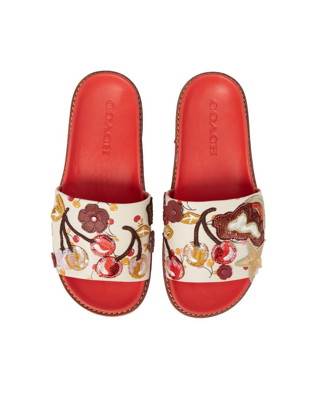 Introducir 106+ imagen cherry coach slides Abzlocal.mx