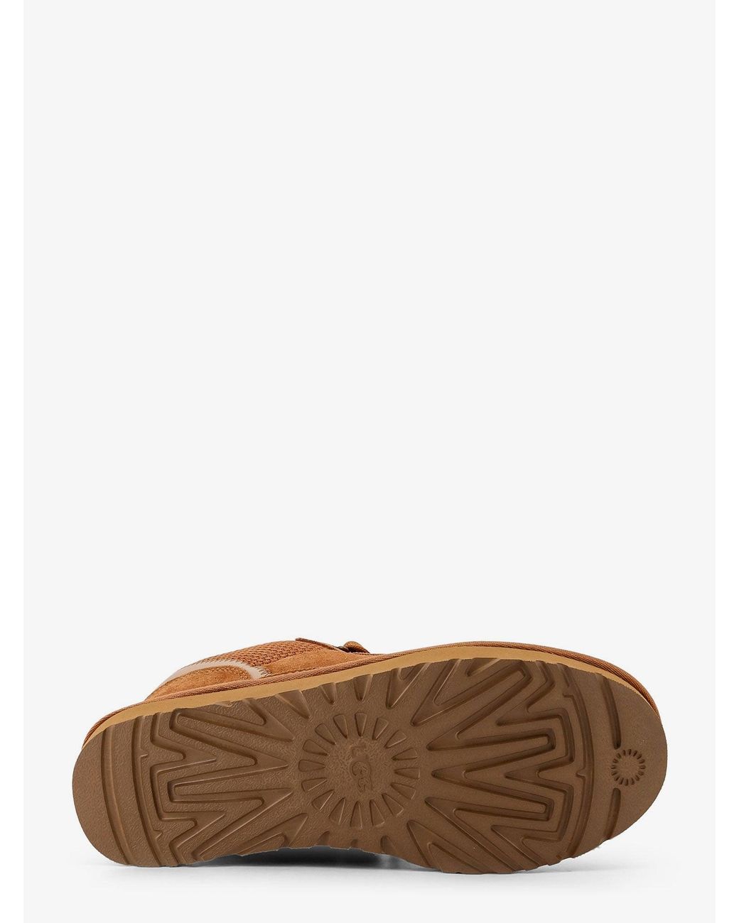 Ugg Brown Sneakers