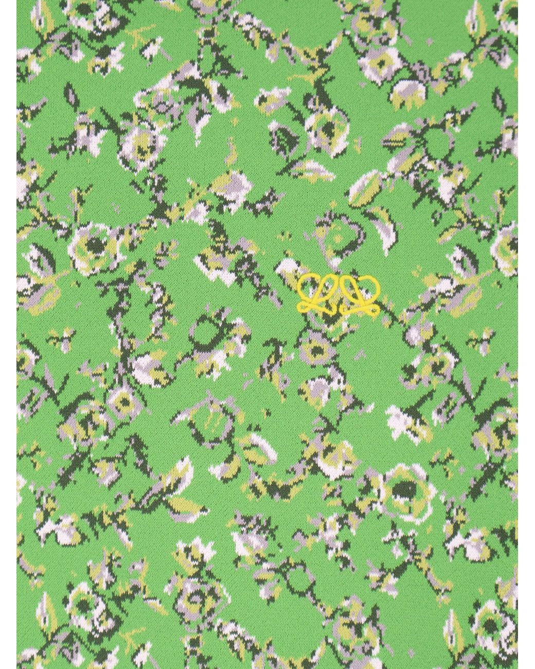 Top di Loewe in Green