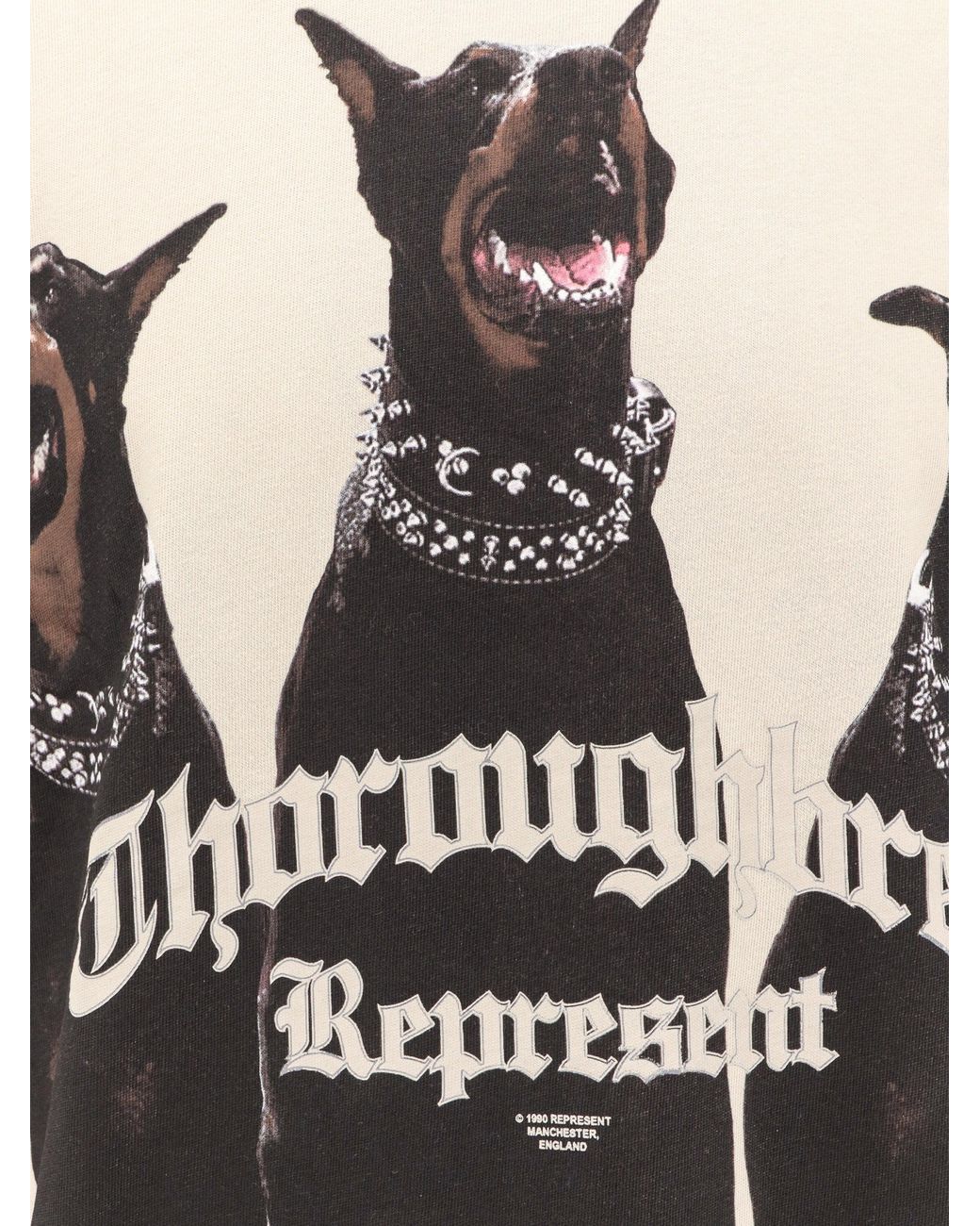 Represent Black Cotton T-Shirt for men