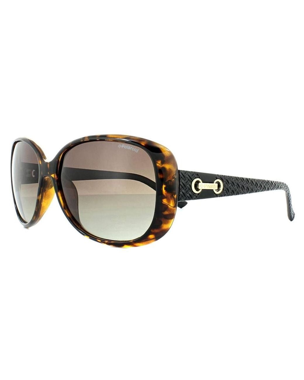 Polaroid Brown Fashion Havana Gradient Polarized Sunglasses