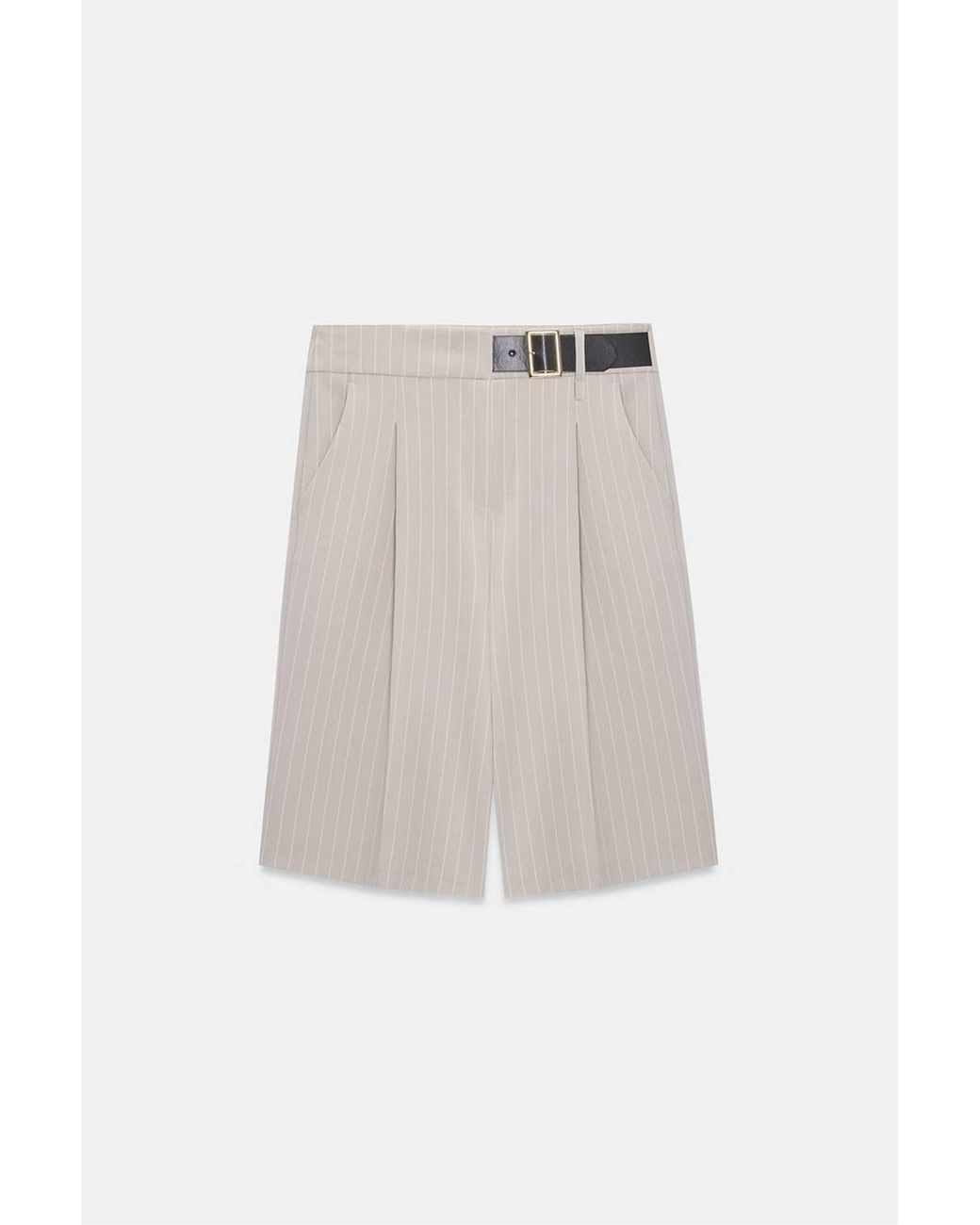 Dilvin Brown High-Waist Striped Tailored Shorts With Belt