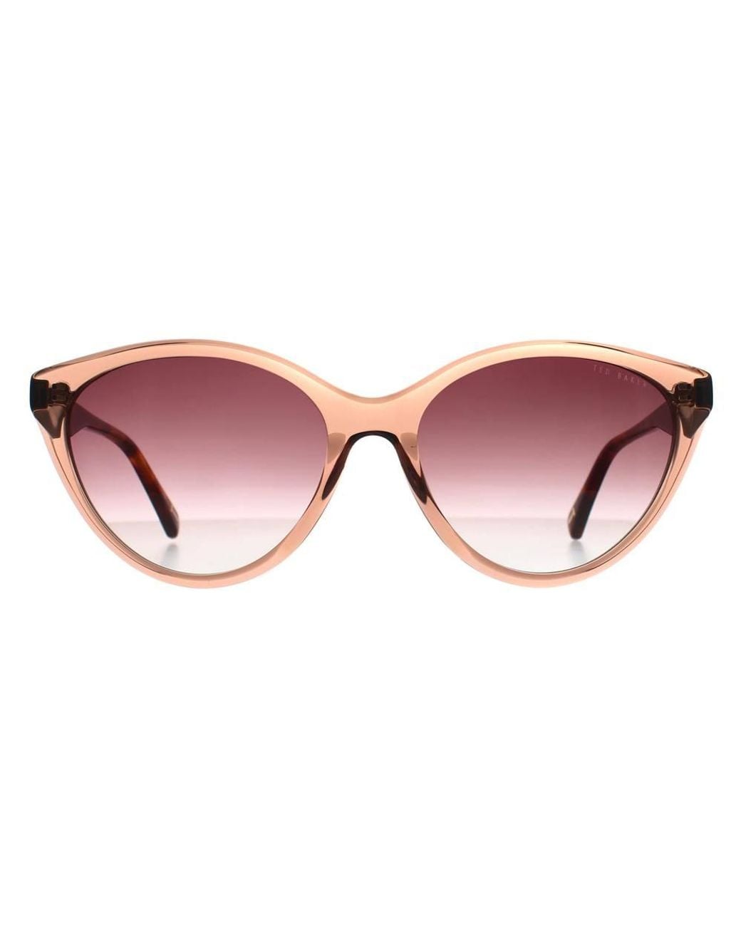 Ted Baker Brown Cat Eye Sunglass Crystal Gradient Tb1735 Deeha