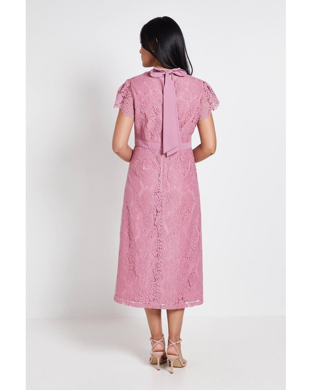 Wallis Pink Petite Lace Tie Neck Midi Dress
