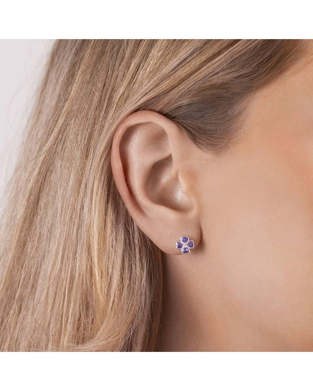 Radley Purple Ryj1565 Pair Of Earrings