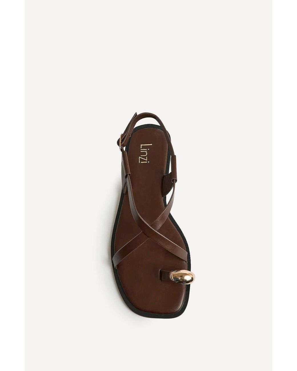 Linzi Brown Mist Toe Ring Flat Sandals