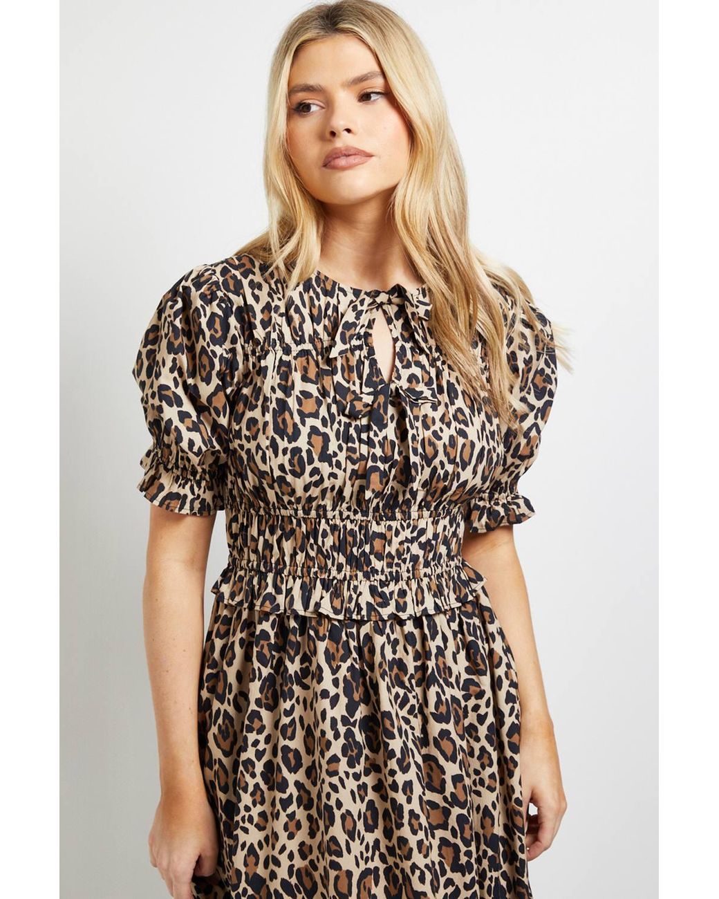 Dorothy Perkins Multicolor Tie Front Frill Sleeve Printed Poplin Midi Dress