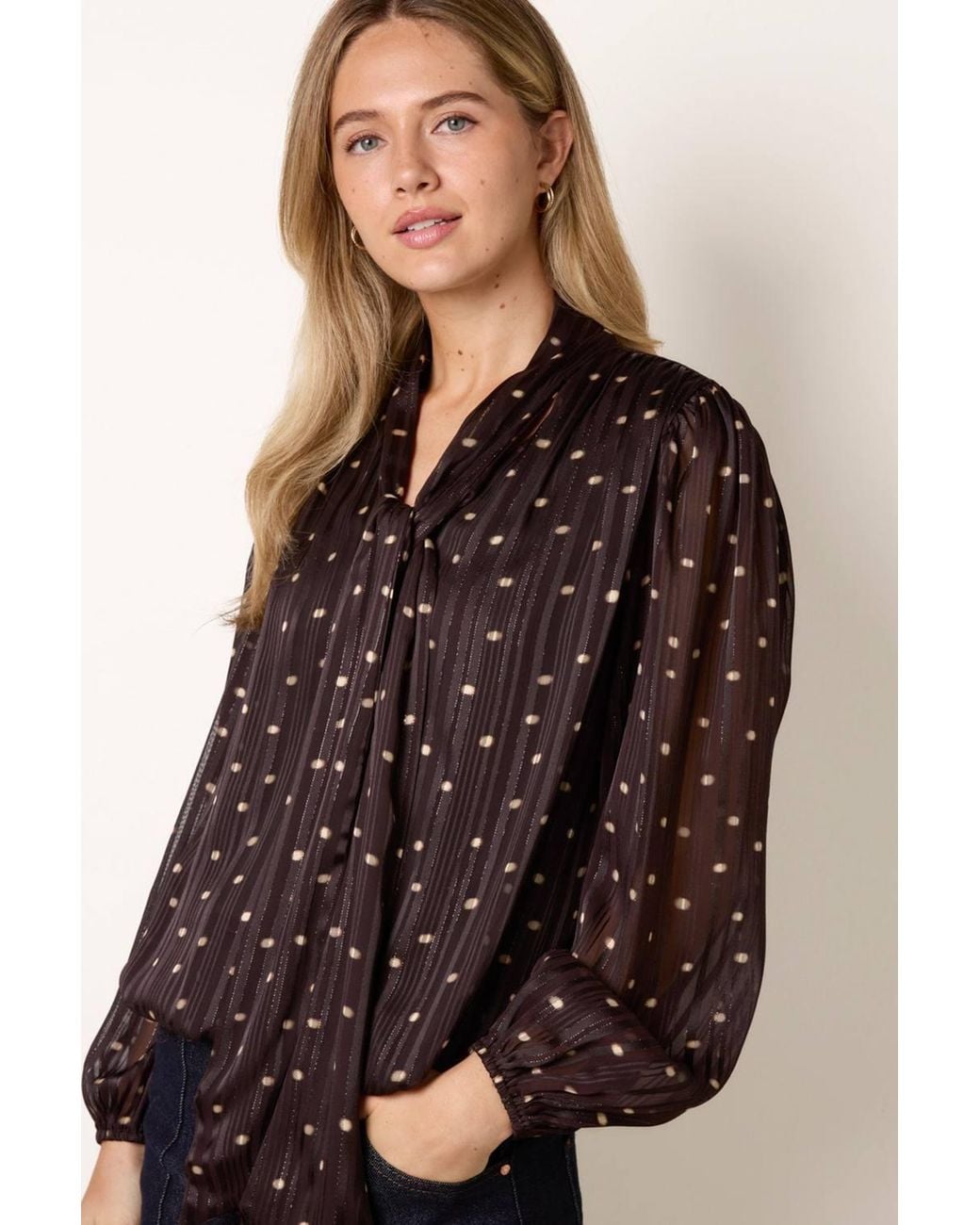 Blue Vanilla Brown Long Sleeve V-Neck Blouse
