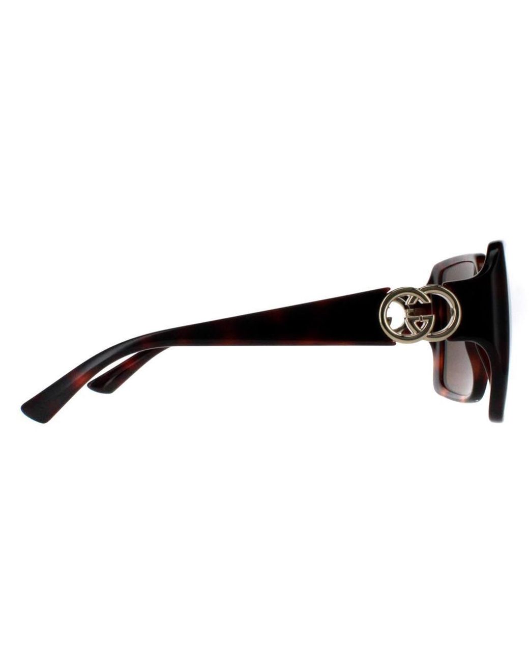 Gucci Brown Square Dark Havana W/ Dark Gg1692S