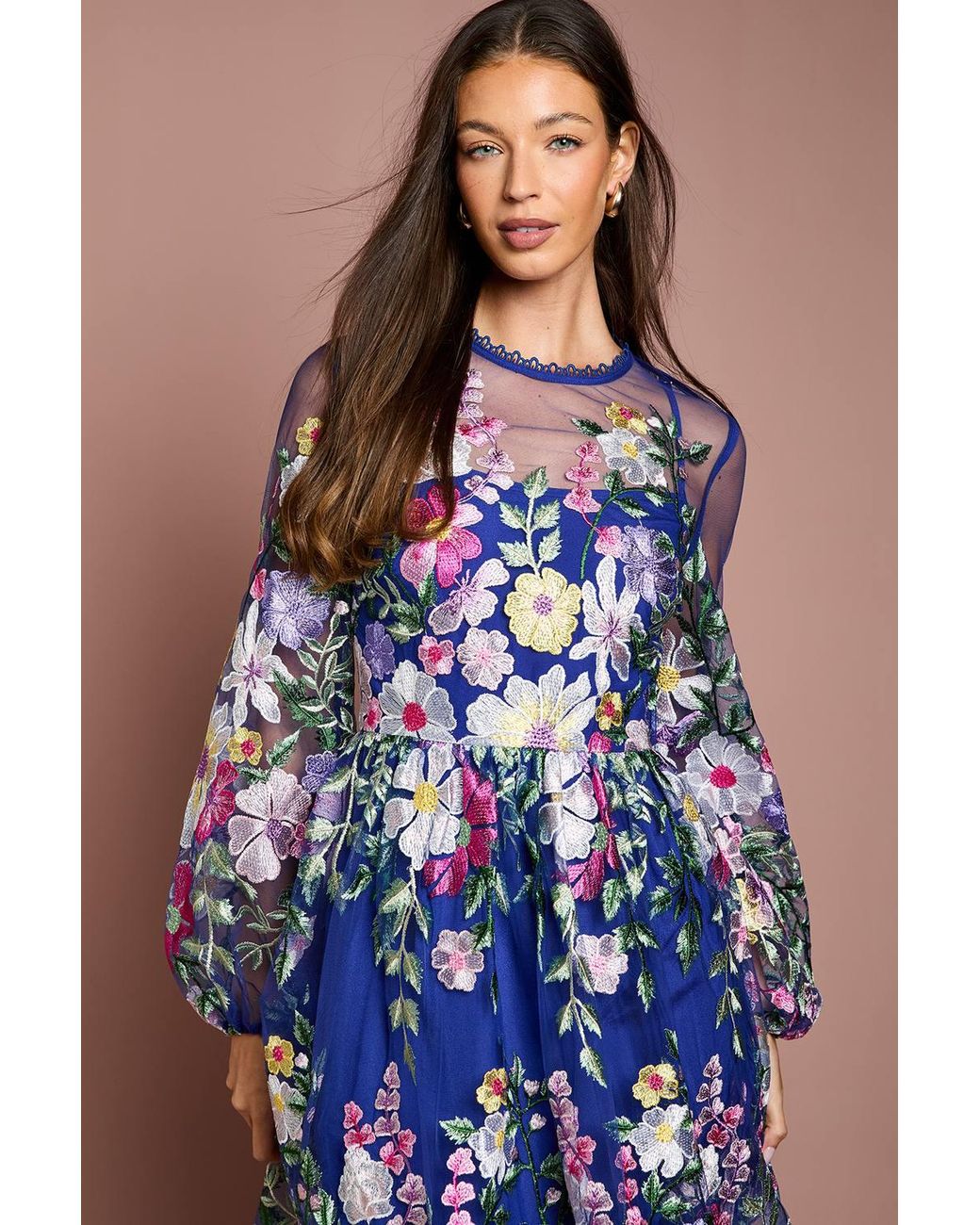 Coast Blue Muse Long Sleeve Embroidered Maxi Dress
