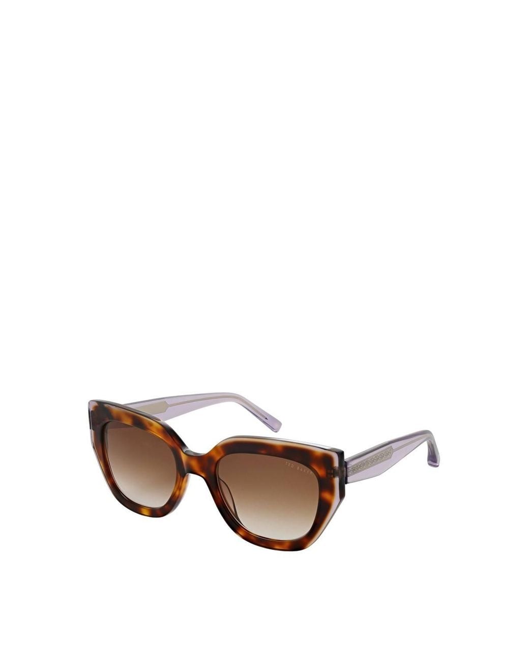 Ted Baker Brown Coral Sunglasses