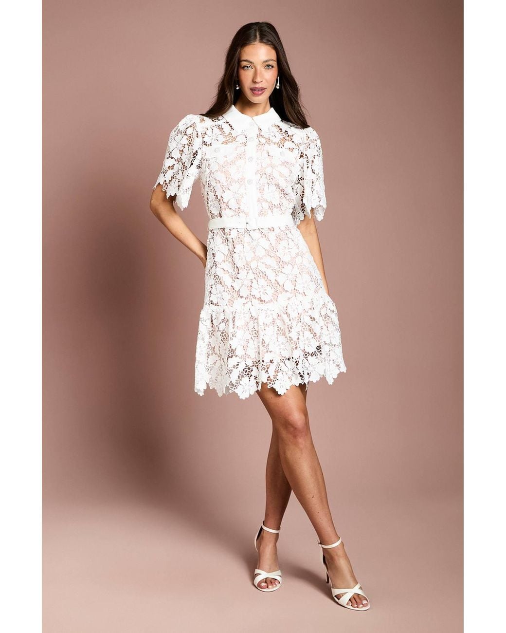 Coast Brown Lace Shirt Mini Belted Dress
