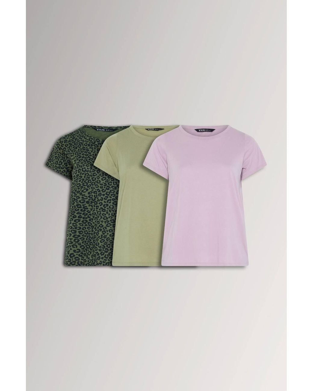 Yours Multicolor 3 Pack Scoop Neck T-Shirts