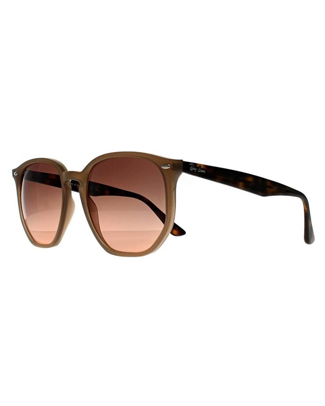 Ray-Ban Brown Round Polished Turtledove Gradient Rb4306