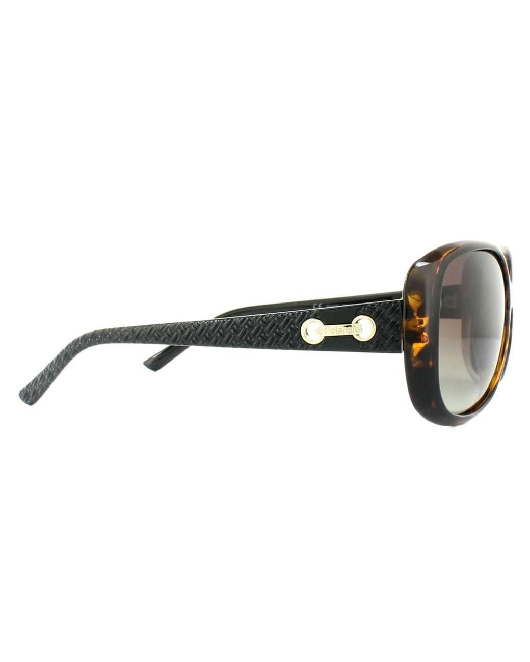 Polaroid Brown Fashion Havana Gradient Polarized Sunglasses