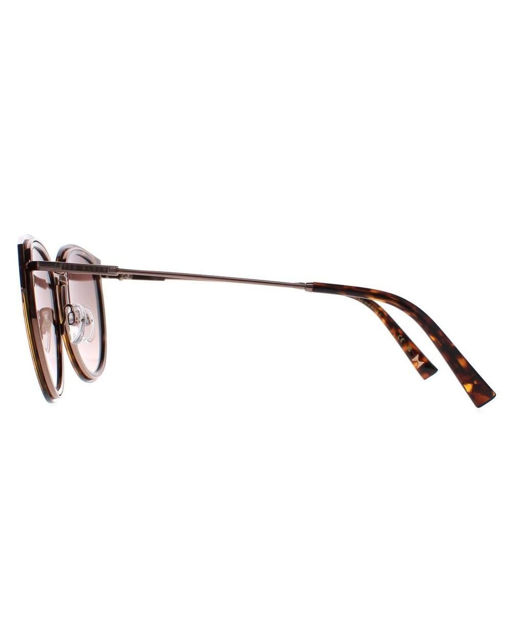 Ted Baker Brown Cat Eye Havana Gradient Tb1659 Ayala Sunglasses