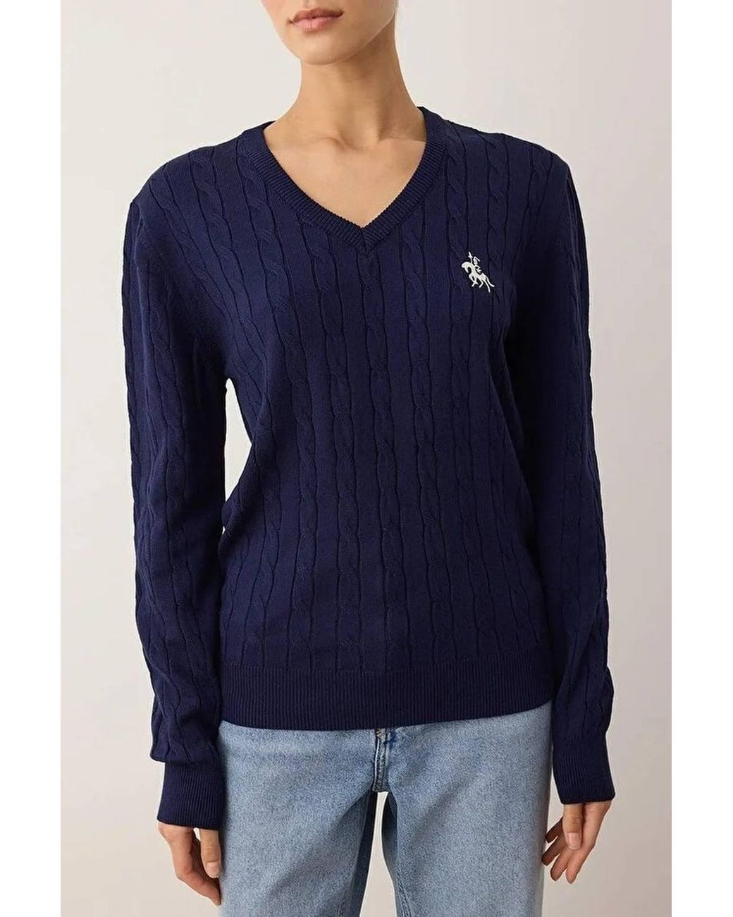 WOVCOR Blue Embroidered Motif V-Neck Cable Knit Jumper