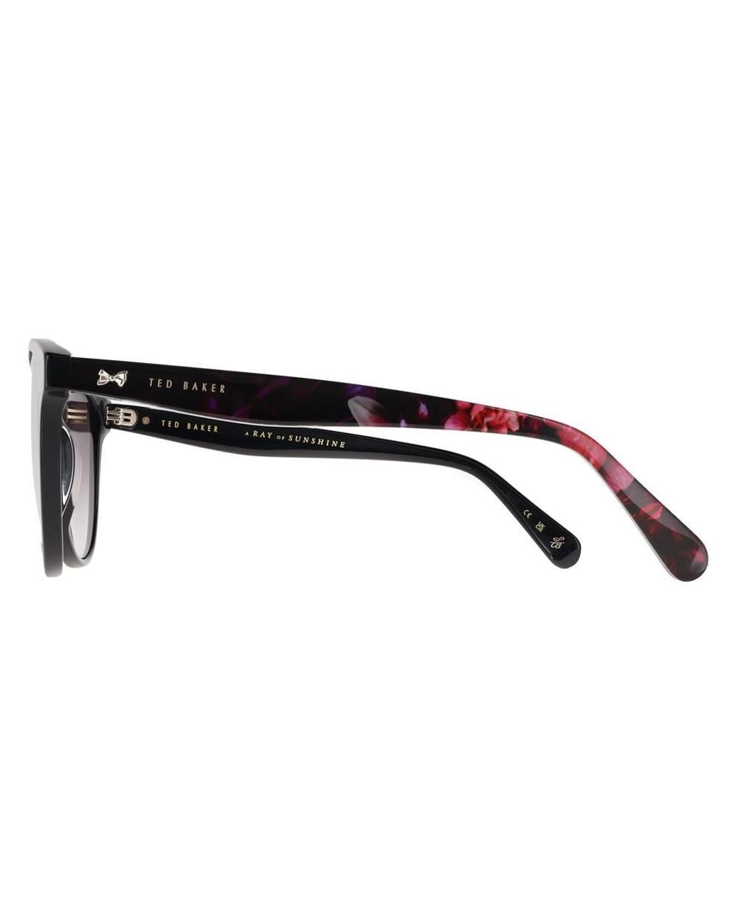 Ted Baker Brown Oval Gloss Solid Gradient Tb1763 Flori