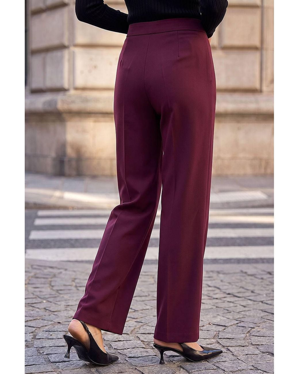 Roman Purple Petite Straight Leg Ponte Stretch Trouser