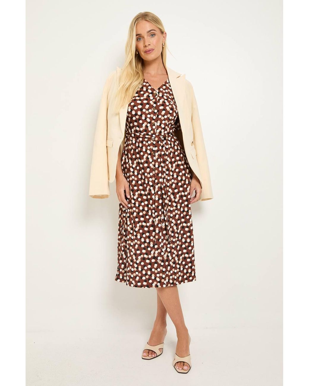 Wallis Brown Spot Petite Jersey Button Midi Dress