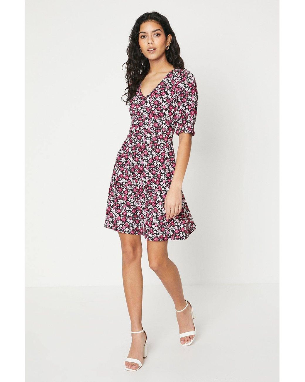Dorothy Perkins Purple Petite Ditsy Short Sleeve Jersey Mini Dress