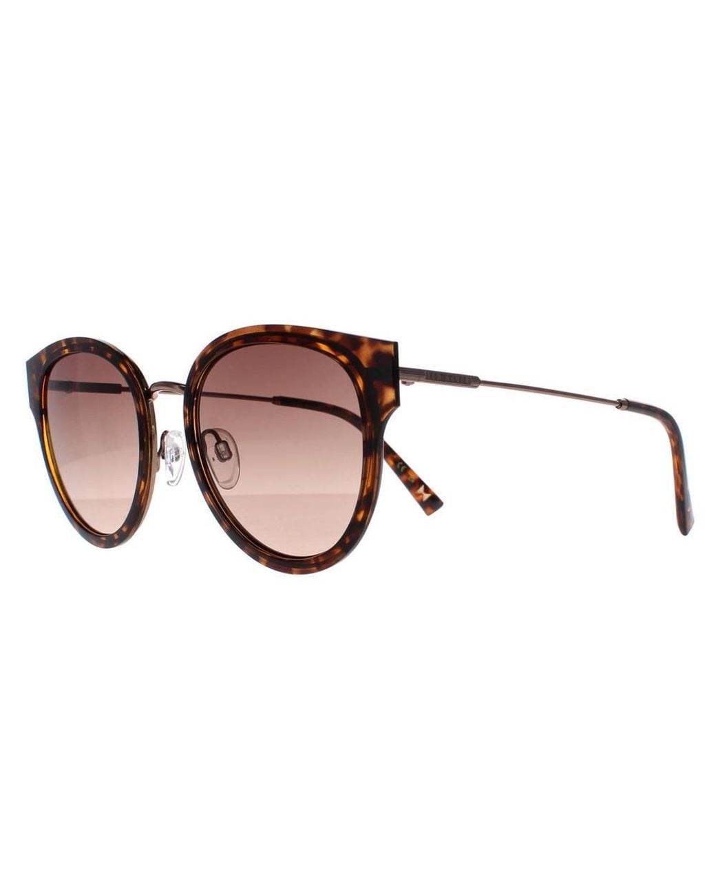 Ted Baker Brown Cat Eye Havana Gradient Tb1659 Ayala Sunglasses