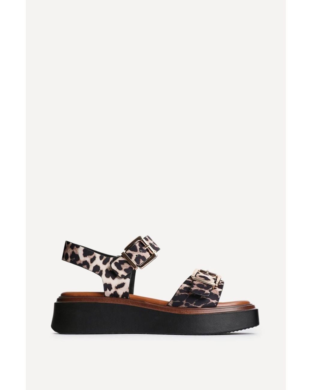 Linzi Black Preserve Leopard Flatform Sandals