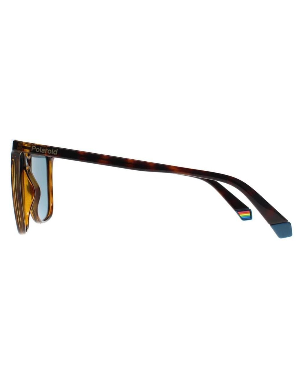 Polaroid Blue Square Havana Polarized Pld 6226/S