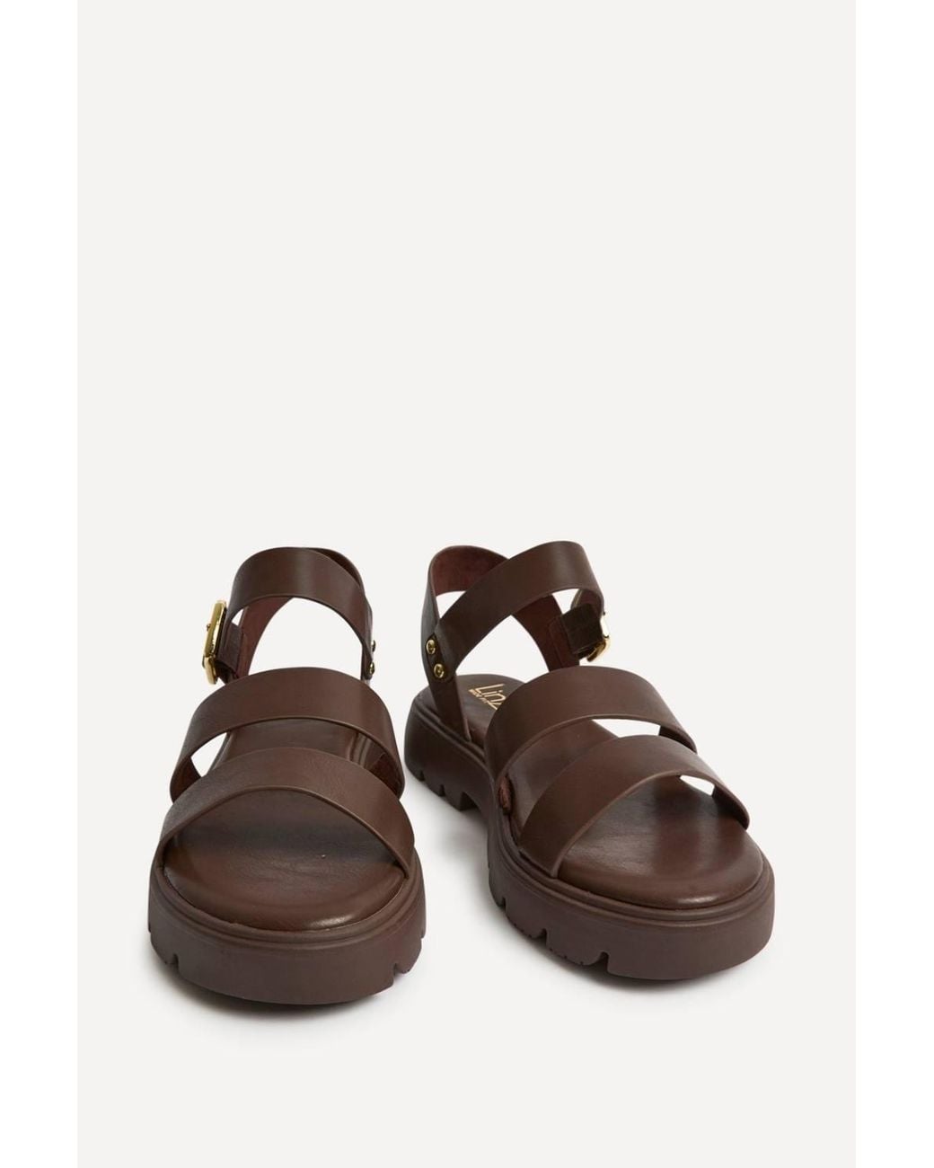 Linzi Brown Tayla Wide Fit Gladiator Sandals