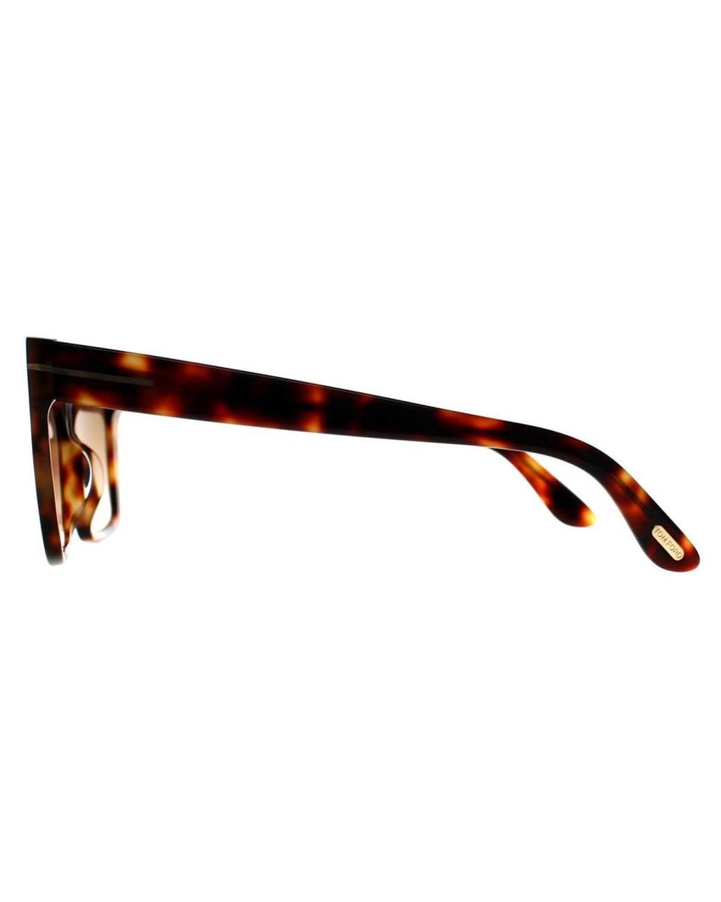 Tom Ford Brown Cat Eye Sunglass Shiny Havana Gradient Winona Ft1030