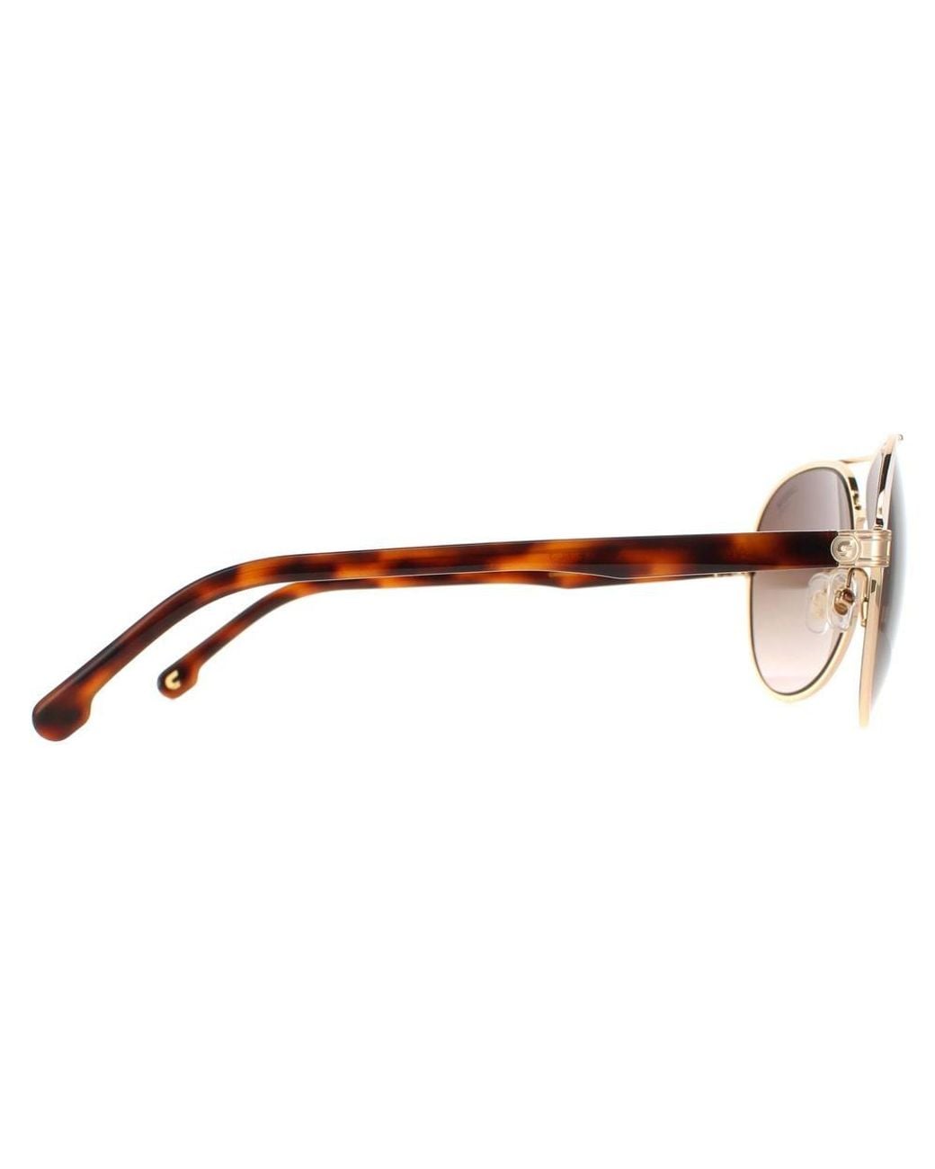 Carrera Brown Aviator Ivory Havana Gradient 1051/S