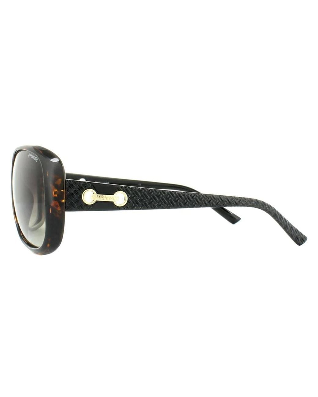 Polaroid Brown Fashion Havana Gradient Polarized Sunglasses