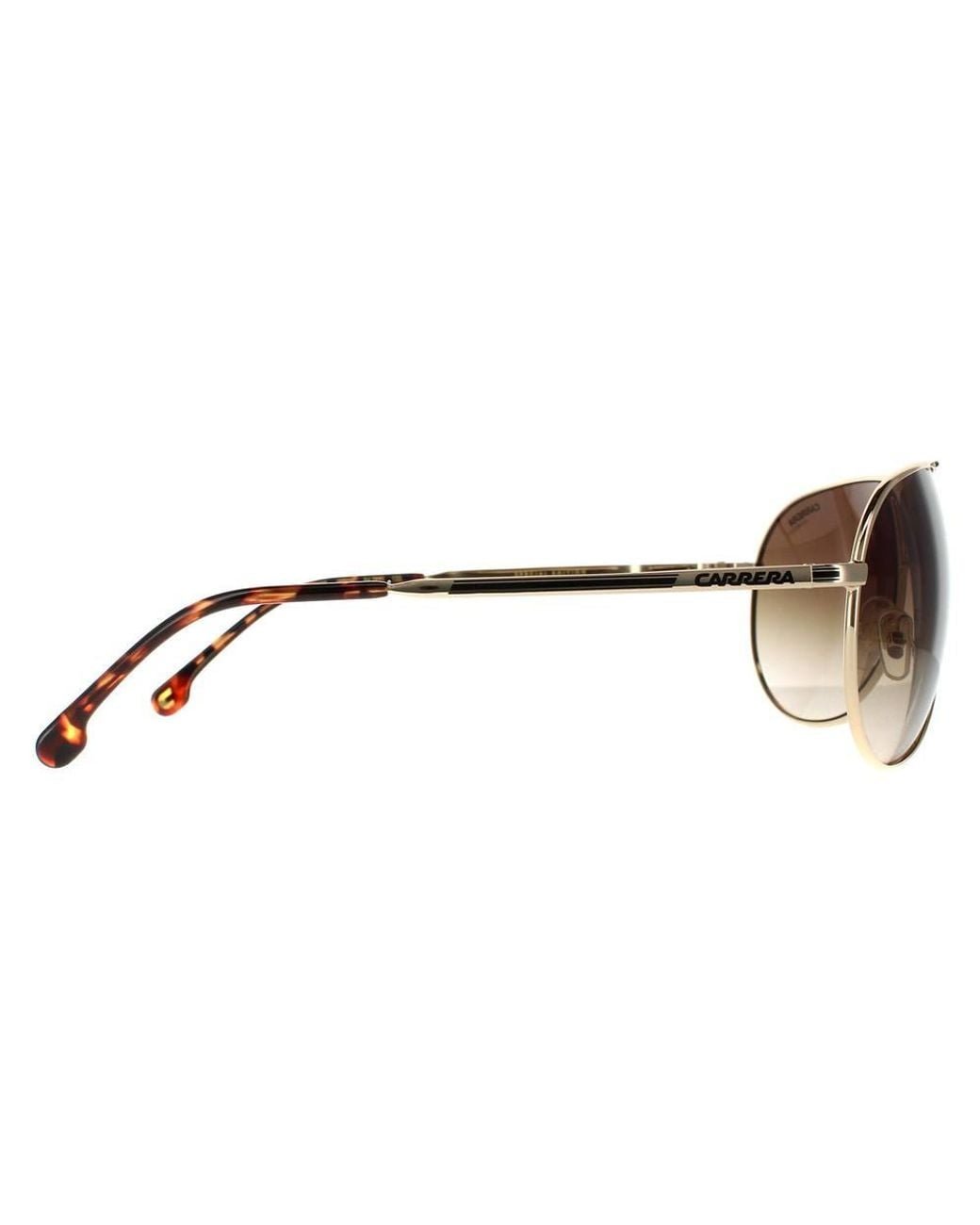 Carrera Brown Aviator Gradient