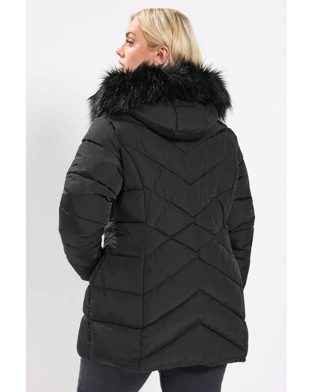 Yours Black Short Padded Coat
