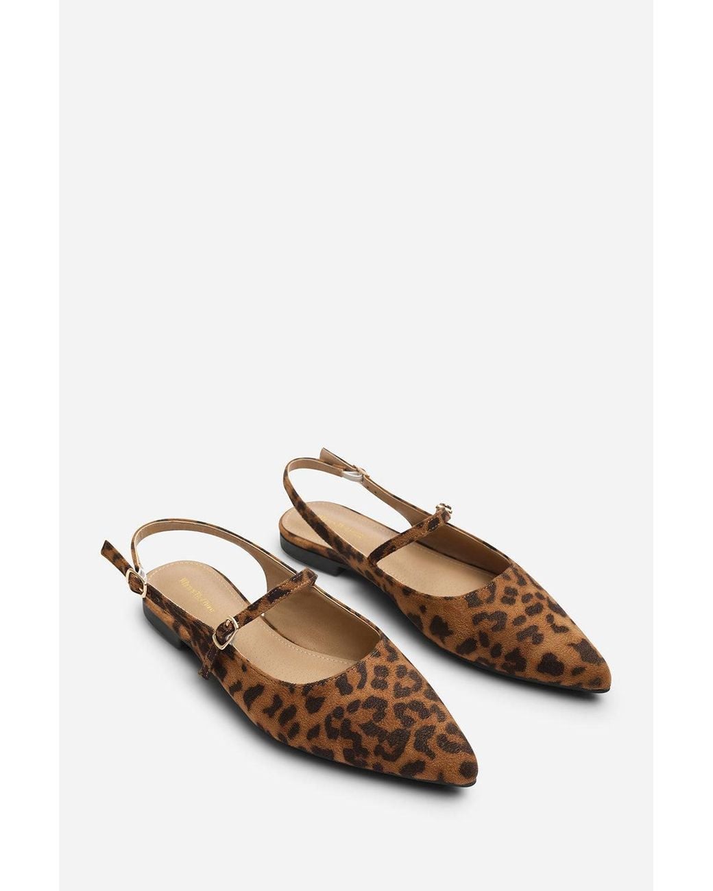 Where's That From Blue Estrella Wide Fit Pointed Toe Mary Jane Open Back Ballet Flats