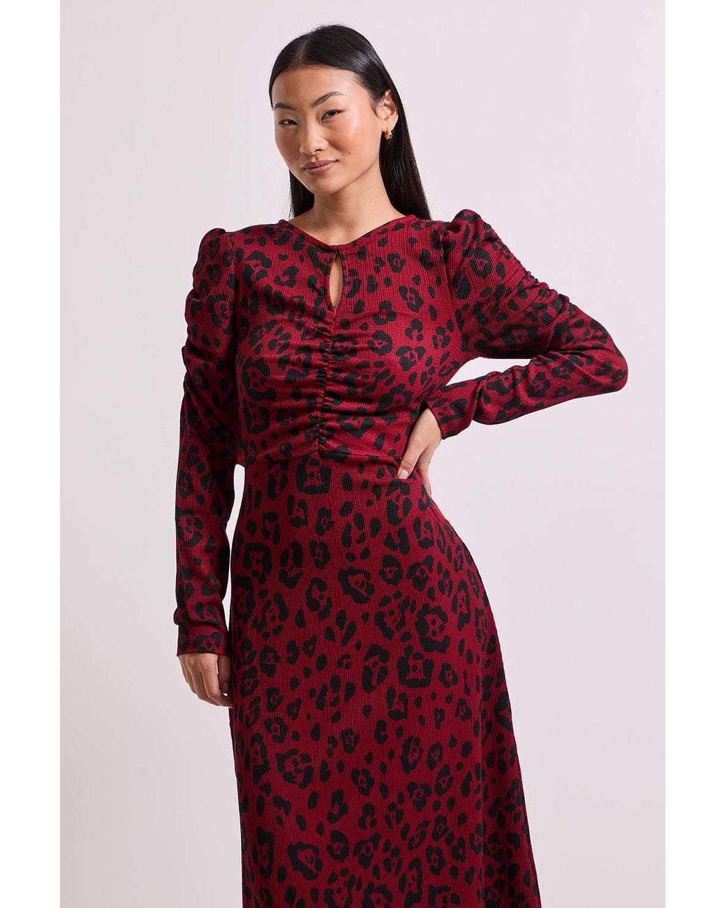 Dorothy Perkins Red Petite Berry Leopard Keyhole Midi Dress