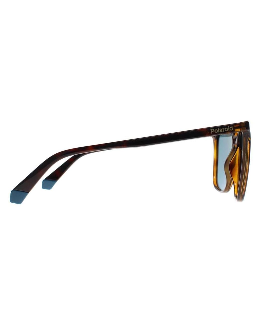 Polaroid Blue Square Havana Polarized Pld 6226/S